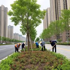 新楼盘的路面绿化工程